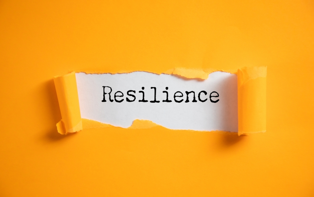 Résilience